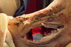 0040IMG-20250827-WA0007