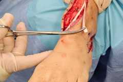 0070IMG-20250827-WA0012