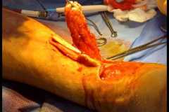 0120IMG-20250827-WA0013