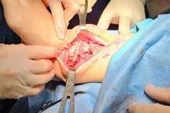 0170IMG-20250827-WA0015