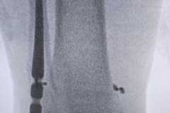 0090IMG-20250827-WA0017