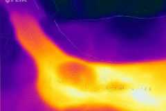 0130IMG-20250827-WA0018