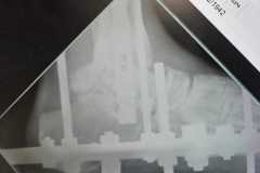 0190IMG-20250827-WA0019