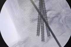 0150IMG-20250827-WA0021