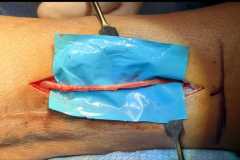 0230IMG-20250827-WA0024