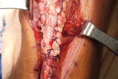 0270IMG-20250827-WA0026