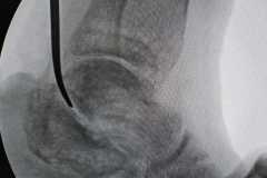 0210IMG-20250827-WA0028