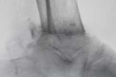 0310IMG-20250827-WA0029