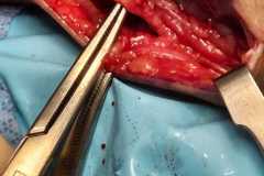 0330IMG-20250827-WA0035